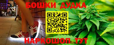 дмт Кингисепп
