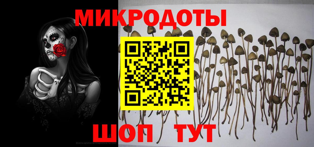 Великие Луки  Галлюциногенные грибы Cubensis  Псилоцибиновые грибы MAGIC MUSHROOMS  Вход с VPN 